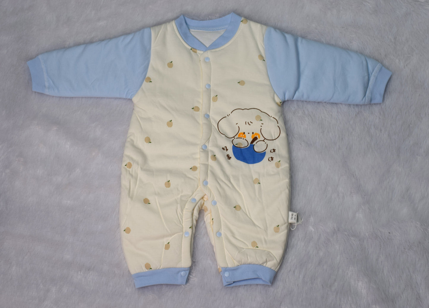 Newborn/Infant Warm Snap-Up Sleepsuit - Long Sleeve Quilted Romper