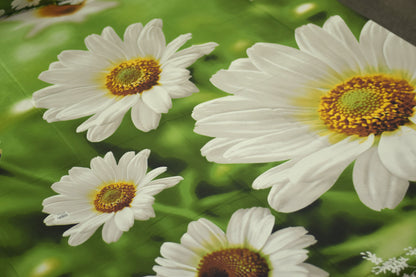 Fresh Green Daisy Floral Queen Bed Sheet & Pillow Cover Set