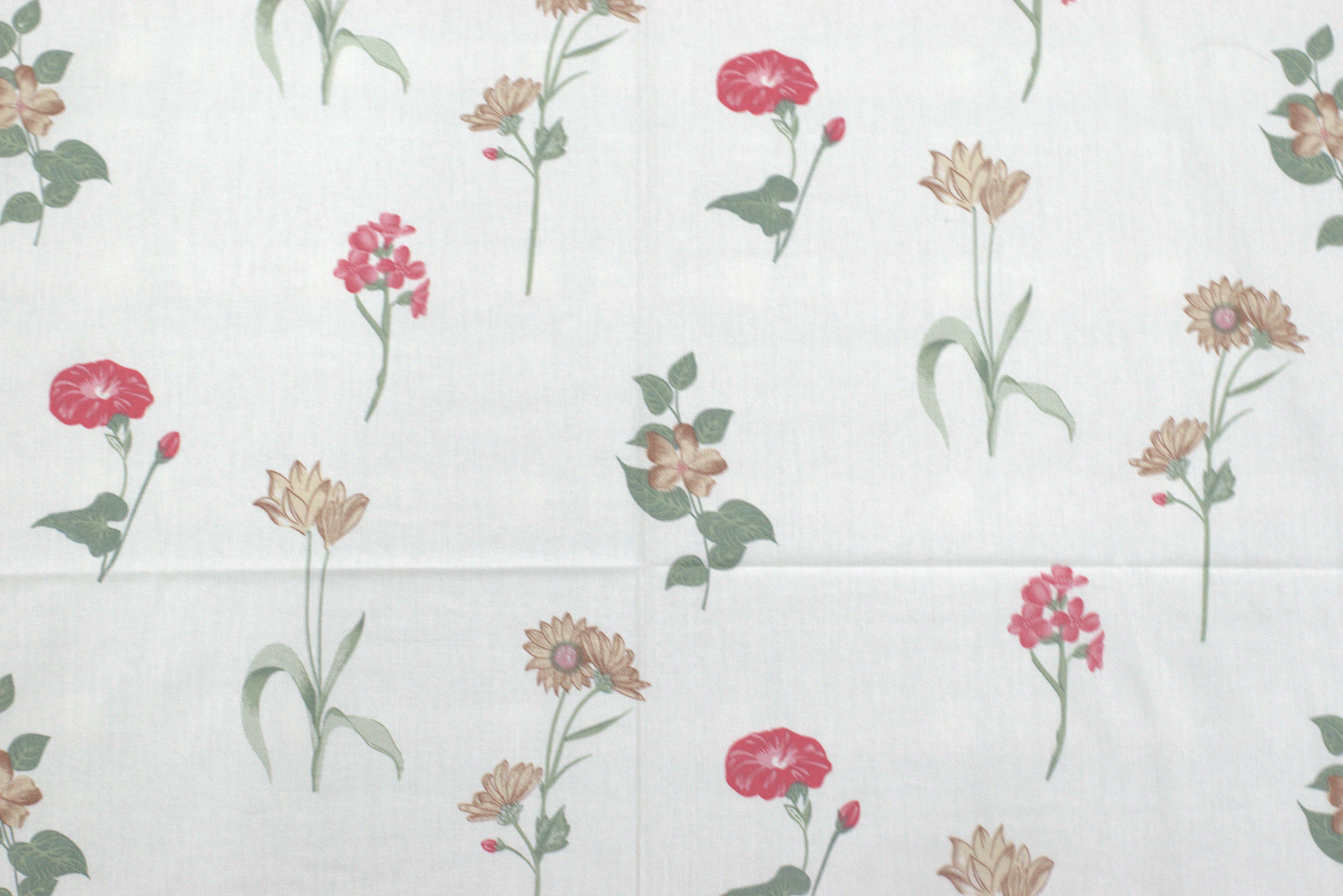 Elegant Floral Print Queen Size Bedsheet with Pillow Covers – Soft Cotton White Bed Sheet Set