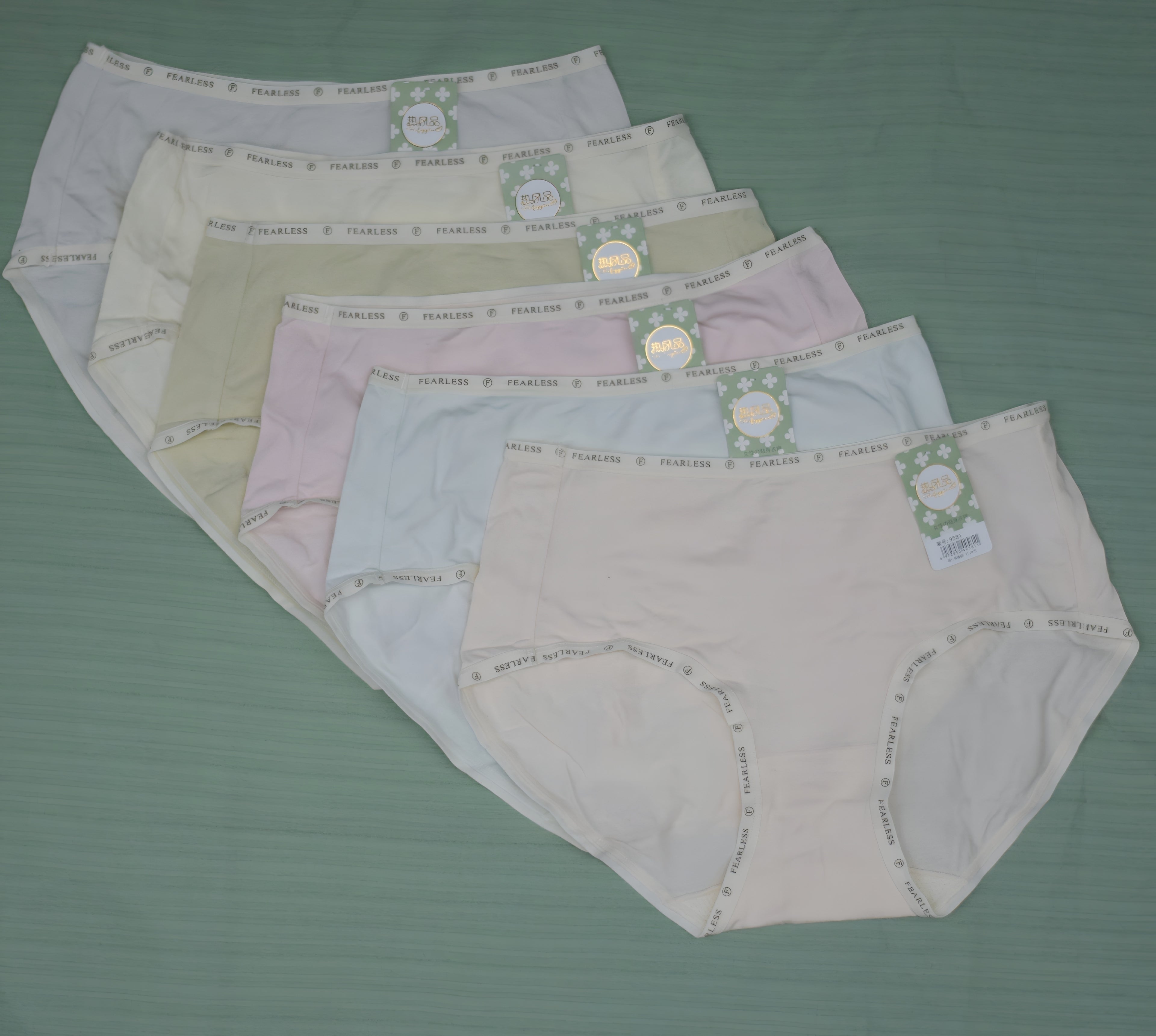 Women’s Seamless Panty Set of 6 – Soft Lycra Comfort Fit with “Fearless” Waistband